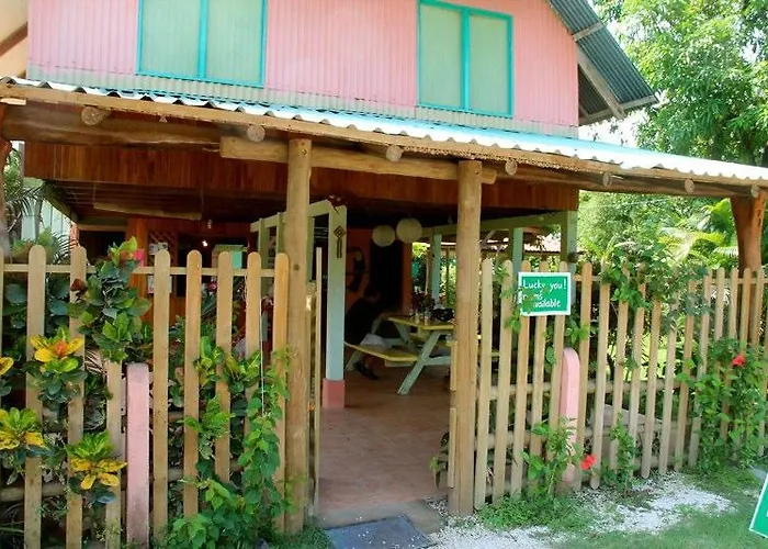 Mariposas Sámara